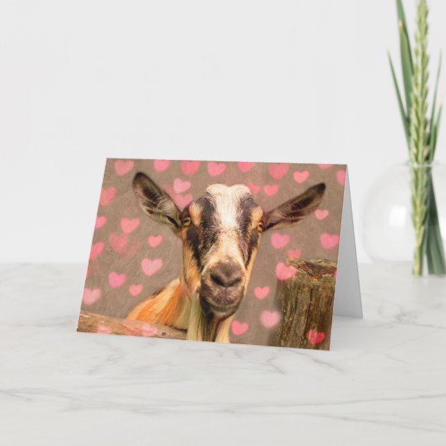 Cartes Pour Fêtes Annuelles Chèvre de la Saint-Valentin (Devant)