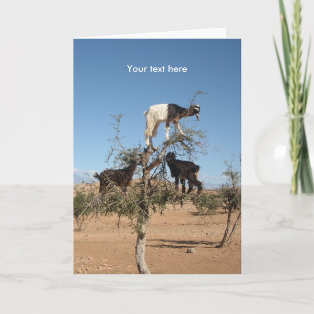 Cartes Pour Fêtes Annuelles Chèvres amusantes dans un arbre (Devant)