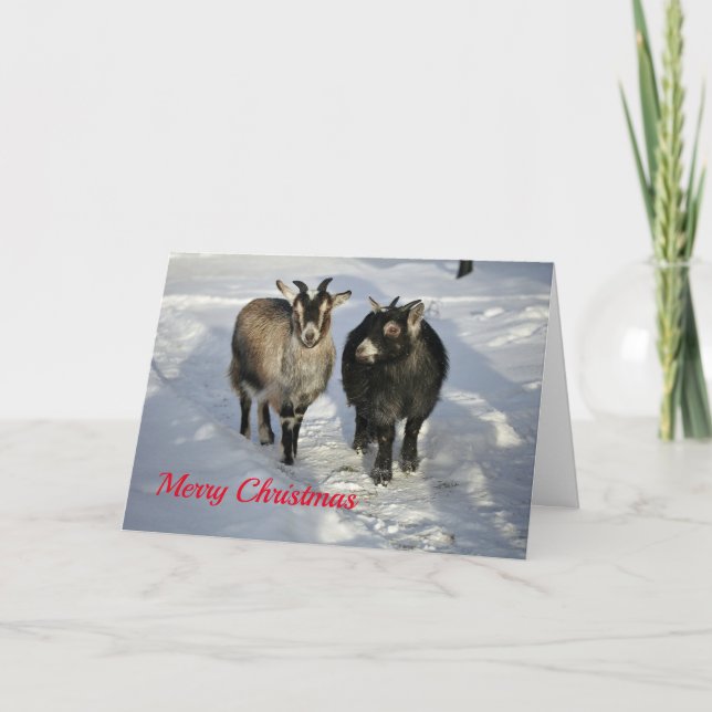 Cartes Pour Fêtes Annuelles Chèvres mignonnes Photo Neige Noël (Devant)