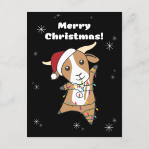 Cartes Pour Fêtes Annuelles Chèvres Noël Chèvres Animaux d'hiver