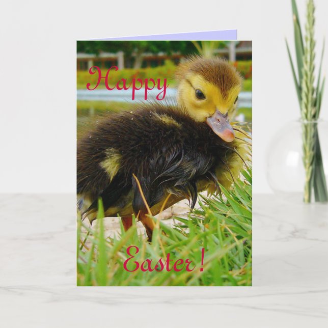 Cartes Pour Fêtes Annuelles Chick de Pâques (Devant)