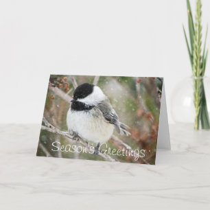 Cartes Pour Fêtes Annuelles Chickadee de Milou de Bonnes Fêtes