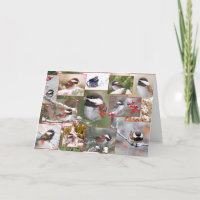 Chickadees en collage d'hiver