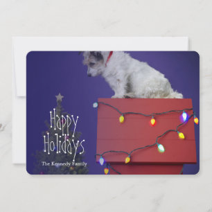 Cartes Pour Fêtes Annuelles Chien 2012 de Noël