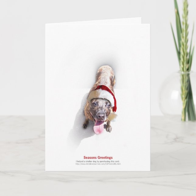 Cartes Pour Fêtes Annuelles Chien 2 d'abri de vacances (Devant)