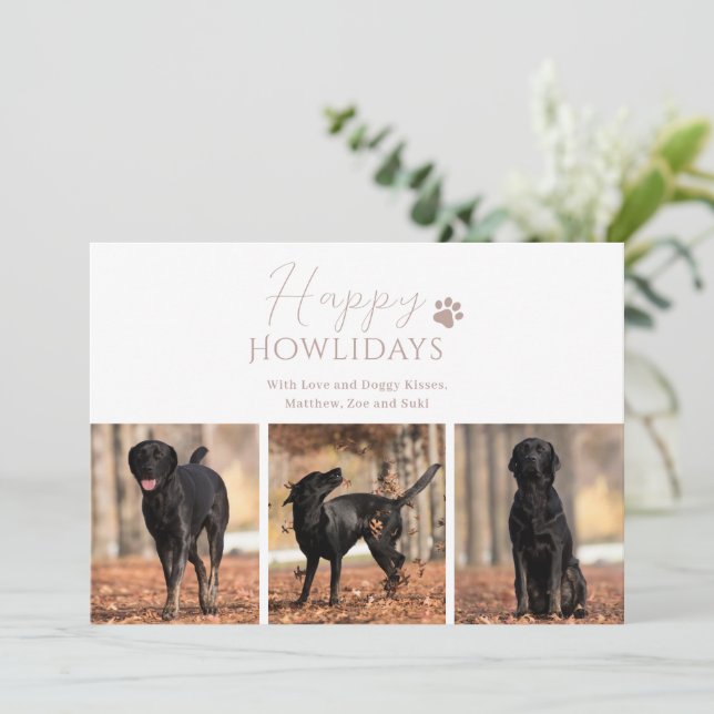 Cartes Pour Fêtes Annuelles Chien 3 photo Noël (Debout devant)