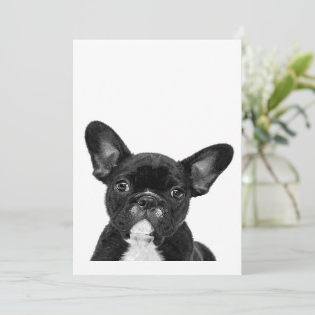 Cartes Pour Fêtes Annuelles Chien adorable | Black French Bulldog Face (Debout devant)
