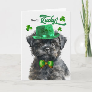Cartes Pour Fêtes Annuelles Chien Affenpinscher Se Sentant Chanceux St Patrick