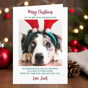 Cartes Pour Fêtes Annuelles Chien amusant Noël Grand-chien Personnalisé Animau