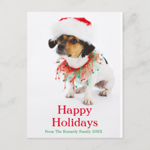 Cartes Pour Fêtes Annuelles Chien avec collier de Noël et chapeau de Noël