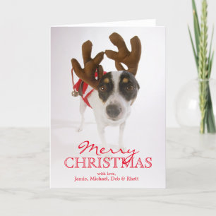 Cartes Pour Fêtes Annuelles Chien avec les andouillers et la Bell