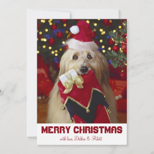 Cartes Pour Fêtes Annuelles Chien avec réserve de Noël