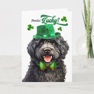Cartes Pour Fêtes Annuelles Chien Barbet se sent chanceux à la Saint-Patrick