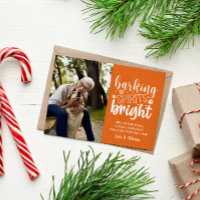 CHIEN BARRÉ ESPRIT BRIGHT ANGE ANGRE NOËL
