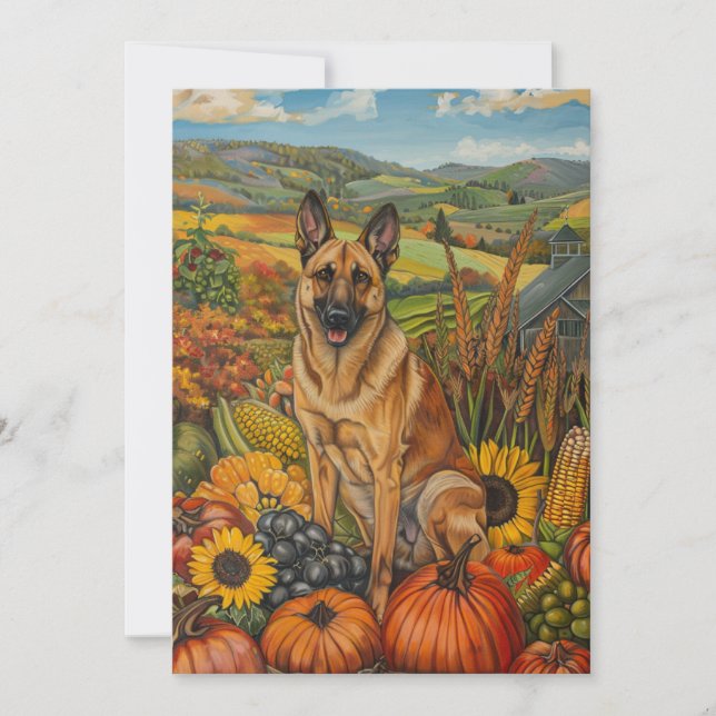 Cartes Pour Fêtes Annuelles Chien belge Malinoi automne récolte Thankgiving (Devant)