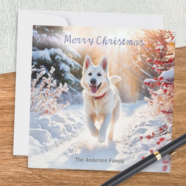 Cartes Pour Fêtes Annuelles Chien berger allemand blanc Noël alsacien (A Christmas card with a picture of a white German Shepherd dog out for a walk in the winter snow)