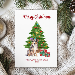 Cartes Pour Fêtes Annuelles Chien Berger Australien Famille Noël