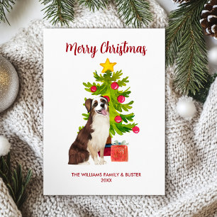 Cartes Pour Fêtes Annuelles Chien Berger Australien Noël