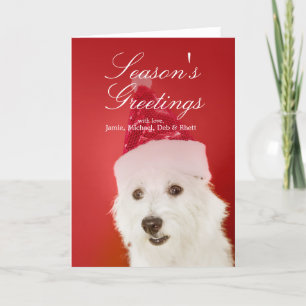 Cartes Pour Fêtes Annuelles Chien blanc avec le casquette de Père Noël