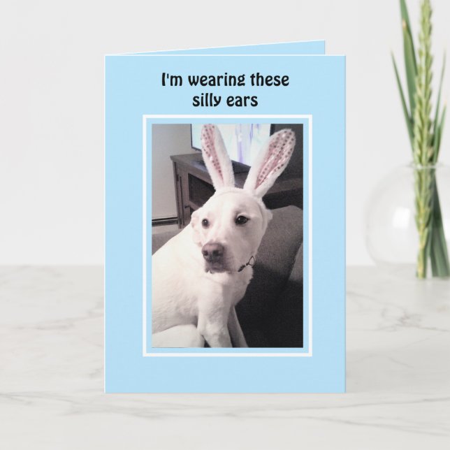 Cartes Pour Fêtes Annuelles Chien blanc mignon avec lapin de Pâques oreilles b (Devant)