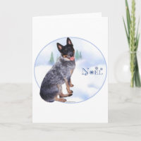Chien Bouvier Australien Noel