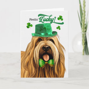 Cartes Pour Fêtes Annuelles Chien Briard se sentant chanceux à la Saint-Patric