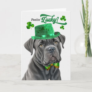 Cartes Pour Fêtes Annuelles Chien Cane Corso Saint Patrick Chanceux