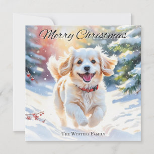 Cartes Pour Fêtes Annuelles Chien Cavachon dans la neige Noël