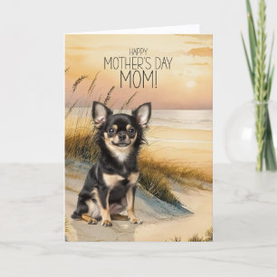 Cartes Pour Fêtes Annuelles Chien Chihuahua aux Cheveux Longs Plage au Coucher