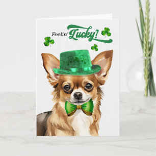 Cartes Pour Fêtes Annuelles Chien Chihuahua se sentant chanceux à la Saint-Pat