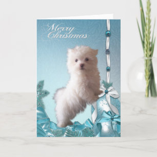 Cartes Pour Fêtes Annuelles Chien chiot maltais Noël