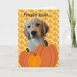 Cartes Pour Fêtes Annuelles Chien Citrouille embrasse Thanksgiving Card