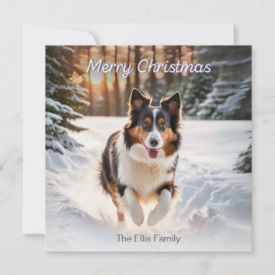 Cartes Pour Fêtes Annuelles Chien Colley Gallois Neige Aquarelle Joyeux Noël
