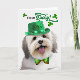 Cartes Pour Fêtes Annuelles Chien Coton de Tulear Chanceux St Patrick's Day