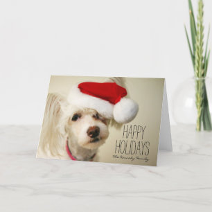 Cartes Pour Fêtes Annuelles Chien crêté chinois blanc de powderpuff