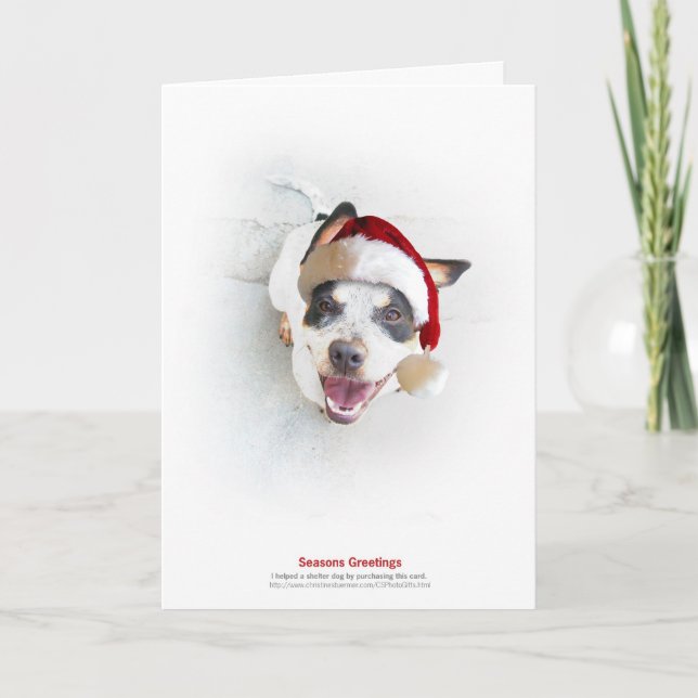 Cartes Pour Fêtes Annuelles Chien d'abri de vacances (Devant)