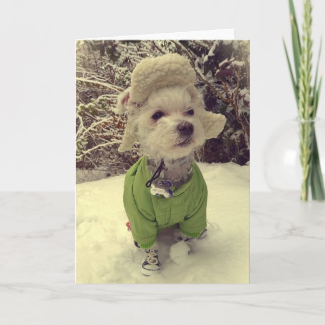 Cartes Pour Fêtes Annuelles Chien dans la neige (Devant)