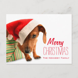 Cartes Pour Fêtes Annuelles Chien dans le chapeau du Père Noël