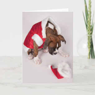 Cartes Pour Fêtes Annuelles Chien dans un costume de Père Noël