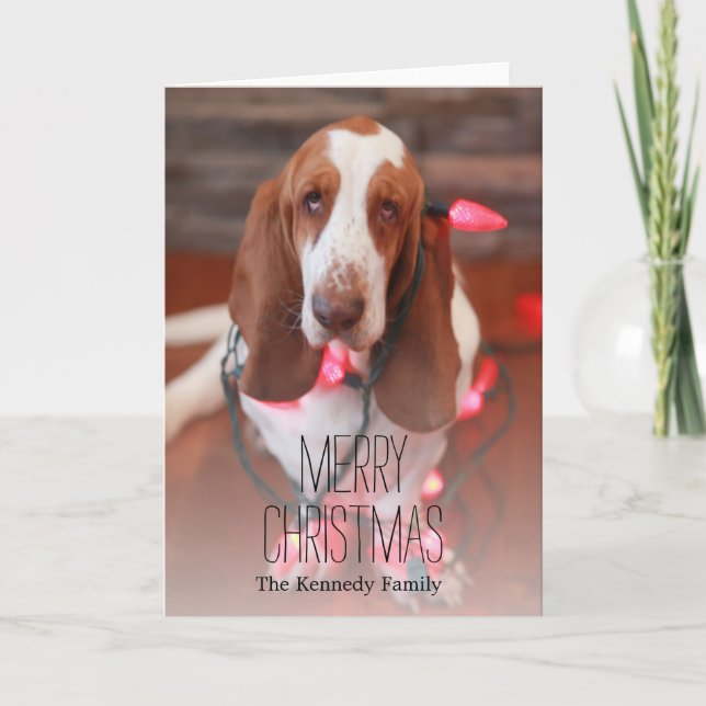 Cartes Pour Fêtes Annuelles chien de basset, Noël, lumières de Noël (Devant)