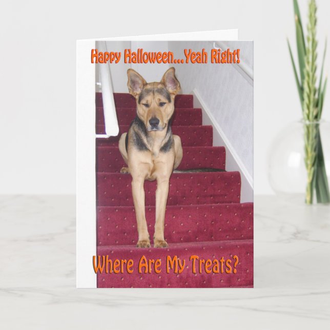 Cartes Pour Fêtes Annuelles Chien de berger allemand Halloween triste pas de f (Devant)