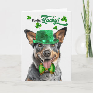 Cartes Pour Fêtes Annuelles Chien de berger australien Jour de la Saint-Patric