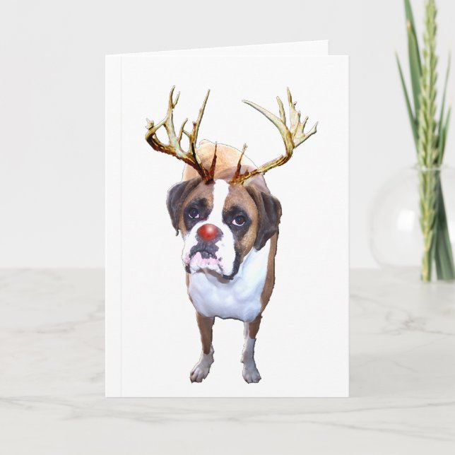 Cartes Pour Fêtes Annuelles Chien de boîte de Noël (Devant)