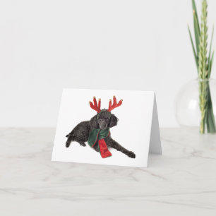 Cartes Pour Fêtes Annuelles Chien de caniche noir de jouet de Noël habillé