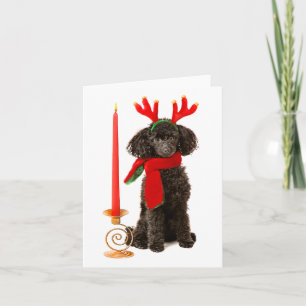 Cartes Pour Fêtes Annuelles Chien de caniche noir de jouet de Noël habillé