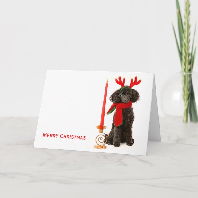 Cartes Pour Fêtes Annuelles Chien de canicule de Noël (Devant)