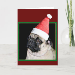 Cartes Pour Fêtes Annuelles chien de carlin de Noël