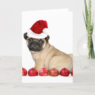 Cartes Pour Fêtes Annuelles chien de carlin de Noël