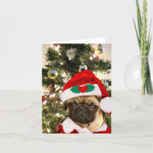 Cartes Pour Fêtes Annuelles chien de Carlin de Noël