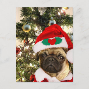 Cartes Pour Fêtes Annuelles chien de Carlin de Noël